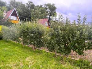 Prodej chaty, Moravský Krumlov, 50 m2