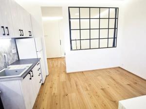 Pronájem bytu 1+1, Praha - Břevnov, Patočkova, 34 m2