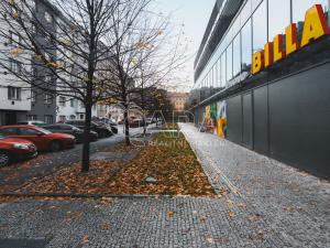 Pronájem bytu 1+1, Praha, U parního mlýna, 39 m2