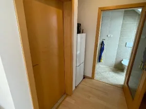 Pronájem bytu 1+kk, Pardubice, K Dolíčku, 40 m2