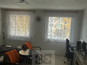 Pronájem bytu 1+kk, Plzeň, Toužimská, 32 m2