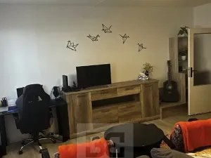 Pronájem bytu 1+kk, Plzeň, Toužimská, 32 m2