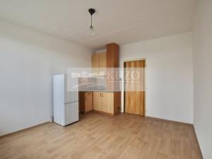 Pronájem bytu 1+kk, Plzeň, Mandlova, 23 m2
