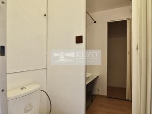 Pronájem bytu 1+kk, Plzeň, Mandlova, 23 m2