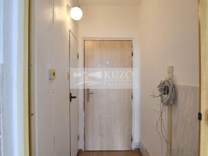 Pronájem bytu 1+kk, Plzeň, Mandlova, 23 m2