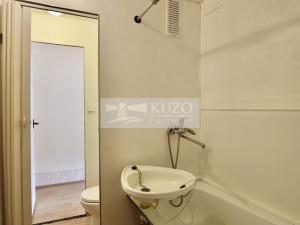 Pronájem bytu 1+kk, Plzeň, Mandlova, 23 m2
