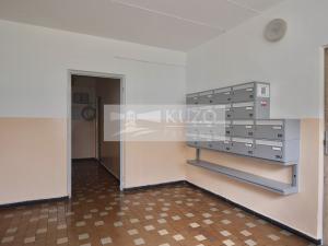 Pronájem bytu 1+kk, Plzeň, Mandlova, 23 m2