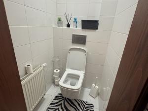 Pronájem bytu 3+kk, Opava, Horní náměstí, 109 m2