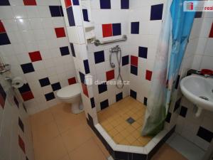 Pronájem bytu 2+kk, Sokolov, Švabinského, 42 m2