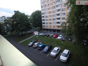 Pronájem bytu 2+kk, Sokolov, Švabinského, 42 m2