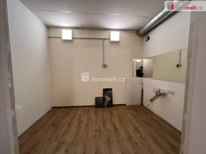 Pronájem skladu, Praha, Malešická, 40 m2