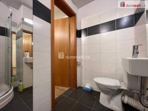 Pronájem skladu, Praha, Malešická, 40 m2