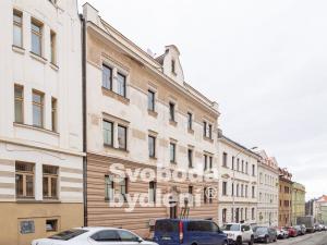 Pronájem kanceláře, Praha - Břevnov, Šlikova, 33 m2