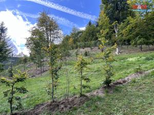 Prodej pozemku pro bydlení, Smržovka, Údolní, 2436 m2