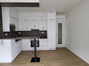 Pronájem bytu 2+kk, Brno - Staré Brno, Nové sady, 50 m2