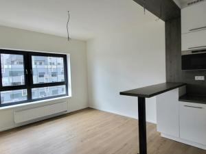Pronájem bytu 2+kk, Brno - Staré Brno, Nové sady, 50 m2