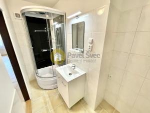 Pronájem bytu 1+kk, Strakonice - Přední Ptákovice, Hraniční, 61 m2