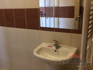 Pronájem bytu 1+1, Opava - Předměstí, Sadová, 40 m2