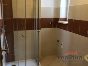 Pronájem bytu 1+1, Opava - Předměstí, Sadová, 40 m2