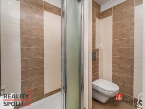 Prodej bytu 3+1, Planá, Fučíkova, 65 m2
