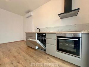 Pronájem bytu 1+kk, Brno, Křenová, 27 m2