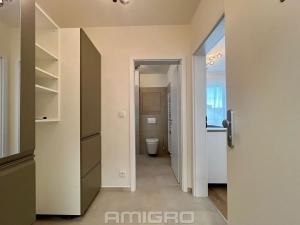 Pronájem bytu 1+kk, Brno, Křenová, 27 m2