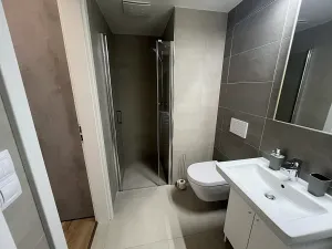 Pronájem bytu 2+kk, Brno, Placzkova, 51 m2
