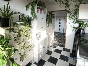 Prodej rodinného domu, Břeclav - Poštorná, Hlavní, 300 m2