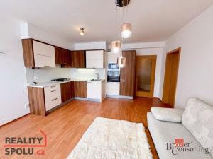 Pronájem bytu 2+kk, Přeštice, Mlýnská, 44 m2