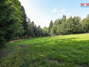 Prodej lesa, Petrovice u Sušice - Maršovice, 15707 m2