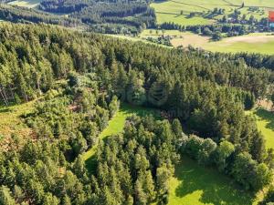 Prodej lesa, Petrovice u Sušice - Maršovice, 15707 m2