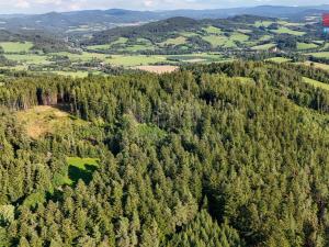 Prodej lesa, Petrovice u Sušice - Maršovice, 15707 m2