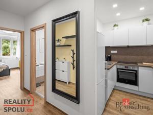 Pronájem bytu 1+kk, Praha - Nusle, Na dolinách, 28 m2
