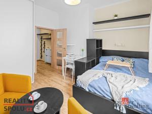 Pronájem bytu 1+kk, Praha - Nusle, Na dolinách, 28 m2