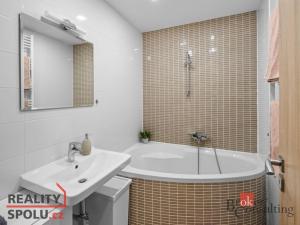 Pronájem bytu 1+kk, Praha - Nusle, Na dolinách, 28 m2