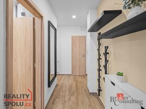 Pronájem bytu 1+kk, Praha - Nusle, Na dolinách, 28 m2