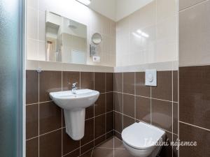 Pronájem bytu 1+kk, Praha - Kyje, Farkašova, 31 m2