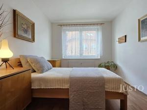 Prodej bytu 2+1, Písek, Budějovická, 53 m2