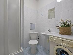 Prodej bytu 2+1, Písek, Budějovická, 53 m2