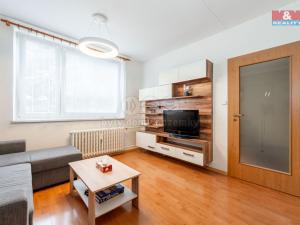 Pronájem bytu 1+1, Jihlava, Březinova, 33 m2