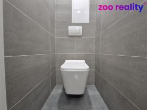 Pronájem bytu 3+kk, Chlumec nad Cidlinou, Sadová, 70 m2