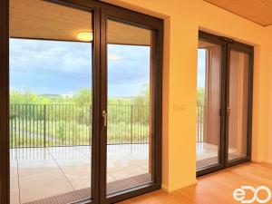 Pronájem bytu 1+kk, Praha, Nekonečného, 42 m2
