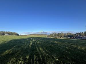 Prodej pozemku, Soběnov, 1559 m2