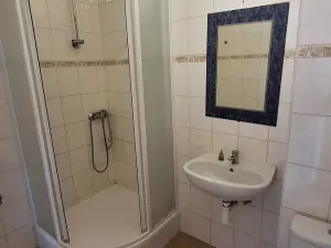 Pronájem bytu 1+kk, Plzeň, Křížkova, 45 m2