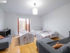 Pronájem bytu 3+kk, Praha - Žižkov, Baranova, 120 m2