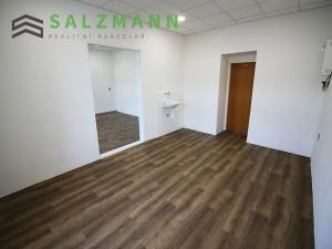 Pronájem kanceláře, Plzeň, Wenzigova, 80 m2