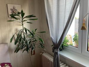 Prodej bytu 4+1, Podveky, 78 m2