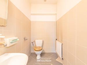 Prodej komerční, Hranice - Hranice I-Město, Tř. 1. máje, 96 m2
