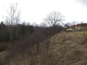 Dražba louky, Ptice, 3291 m2