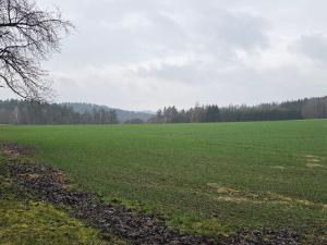 Prodej pozemku, Chocnějovice - Buda, 2533 m2